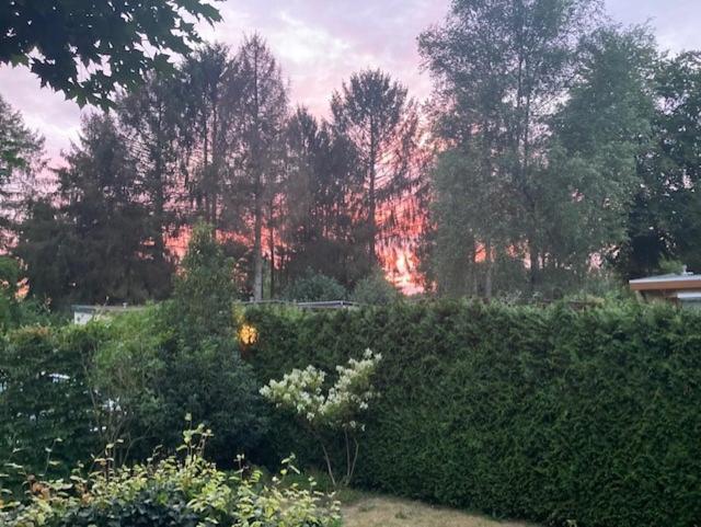 פוטן Chalet Wild Forest, Knus Chalet Op De Veluwe Met Gratis Parkeren מראה חיצוני תמונה